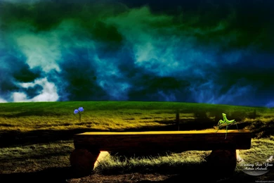 Nature Wallpaper, HD, Widescreen, Images, Desktop Background, 227 ...