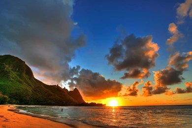 Nice Hawaii Beach Wallpapers   2560x1600   2195541