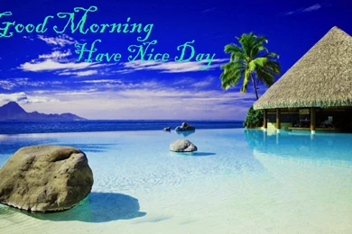 Good Morning Good Morning Friends Have A Nice Day Hd With Lovely ...