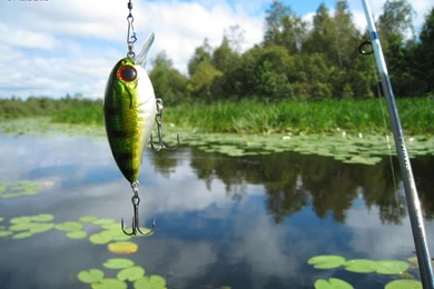 Bass Fishing Wallpapers Wallpapers Zone