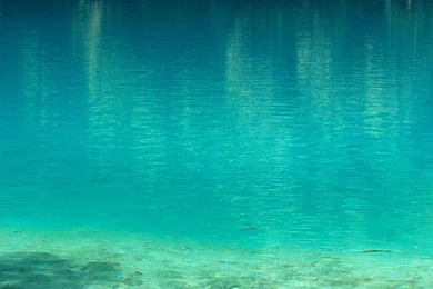 Lake Fish – Clear Lake iPhone 6 Wallpapers