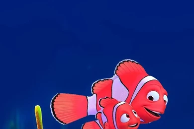 Cartoon Fish Iphone 6 Wallpapers, iPhone 6 Backgrounds And Themes