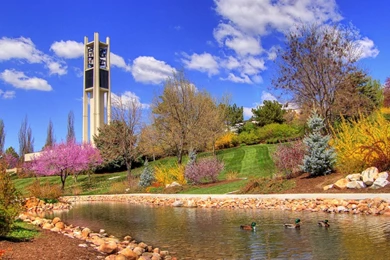 Spring, 1920x1080 HD Wallpapers And FREE Stock Photo