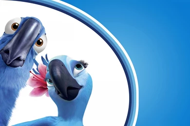 Blue Parrot Cartoon Wallpapers