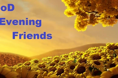 Good Evening Wallpapers