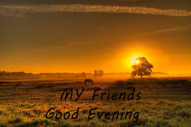Good Evening Best Tea Wishes Image