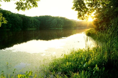 SCHLAMM LAKE SUNSET CLARK STATE FOREST INDIANA WALLPAPER   (