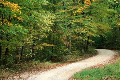 Country Road In Autumn, Nashville, Indiana Wallpapers ...