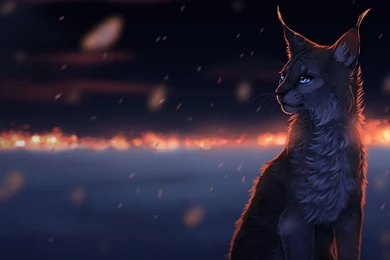 231 Lynx HD Wallpapers