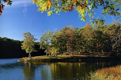 Indiana Clark State Forest   Nature Wallpapers Image Featuring ...