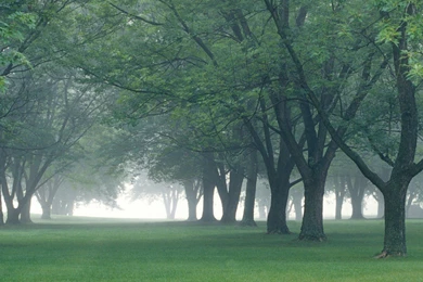 Morning, Early, Central, Nature, Background, Indiana, Landscape ...