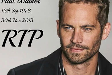 Paul Walker Wallpapers HD Download