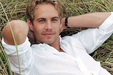Paul Walker Wallpapers Image Pics