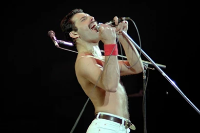 Desktop Hd Freddie Mercury Wallpapers 3d Hd Pictures.