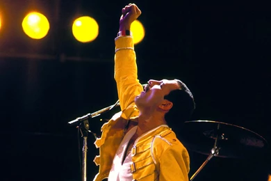 Freddy Mercury Wallpapers