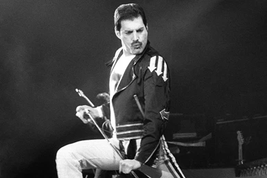 Freddie Mercury Photo, Pics, Wallpapers   Photo