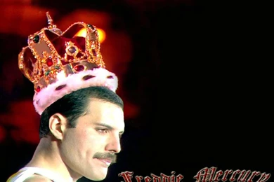 Freddie Mercury Wallpapers   Male Celebrity   Crazy Frankenstein