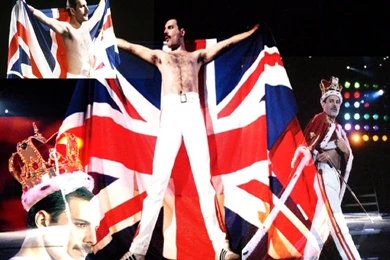 Freddie   Freddie Mercury Wallpapers (27825249)   Fanpop