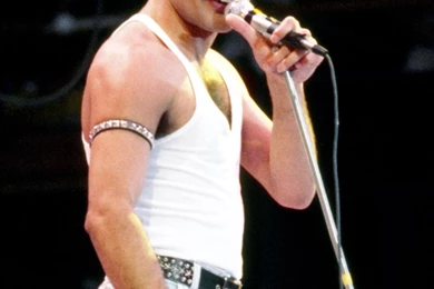 Freddie Mercury Photo, Pics, Wallpapers   Photo