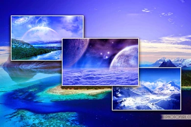 Beautiful Red And Yellow Flower Wide Screen Wallpapers   Beautiful ...