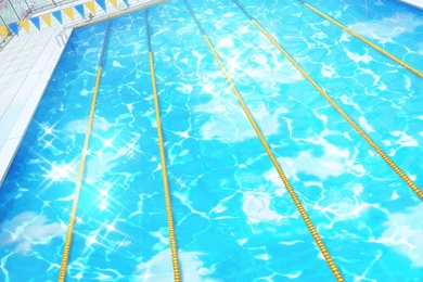 Makoto Tachibana Free! Wiki Wikia