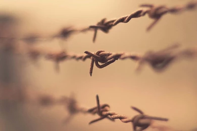 Fences Depth Of Field Barbed Wire Wallpapers