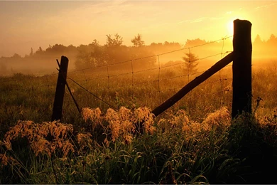 The Sunset Under Wilderness Barbed Wire Fence Photography ...