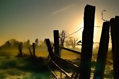 The Old Fence Of Barbed Wire Wallpapers And Images   Wallpapers ...