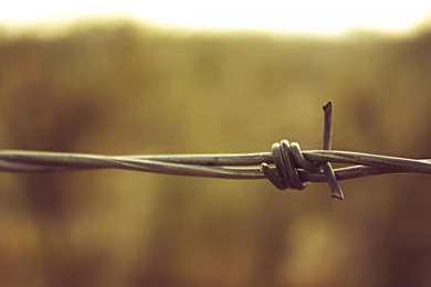 Depth Of Field Barbed Wire Wallpapers