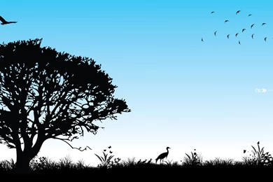 Sea Showed_ Waves Clouds Sun Rays Evening