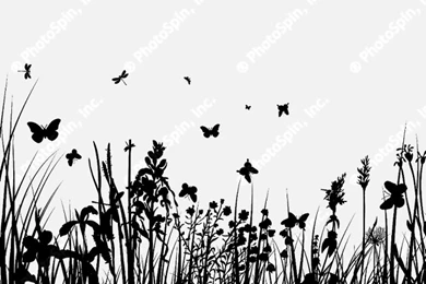 Image By: Pavel Konovalov   Image