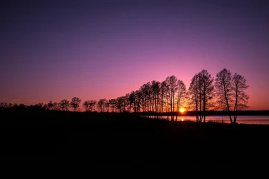 Hd 94473 Gorgeous Sunset Silhouette Wallpapers Landcapes   HD ...