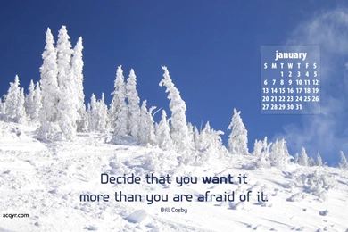 January 2008 Desktop Wallpapers Calendar 1