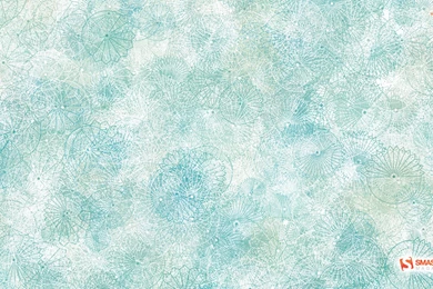 关于壁纸，1月，来自smashing Magazine