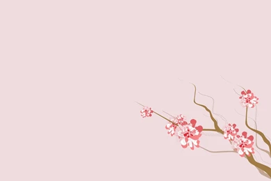 Pink And Branch Some Pattern Abstract HD Wallpapers Wallpapers ...