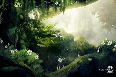 Guild Wars 2 HD Official Wallpapers   MMORPG News   MMOsite.com