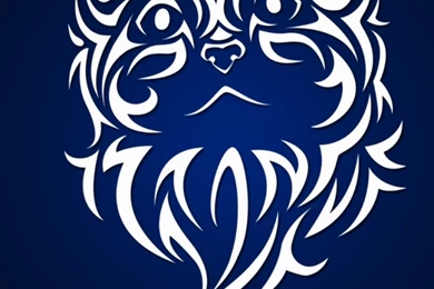 Awesome Mobile Wallpapers   Wallpapers Zone