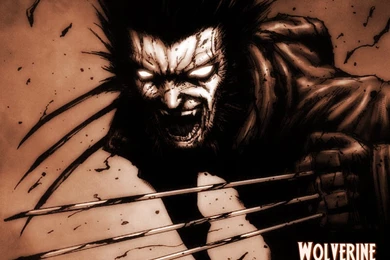 Wolverine Wallpapers