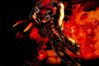 Magnificent Wolverine Wallpapers