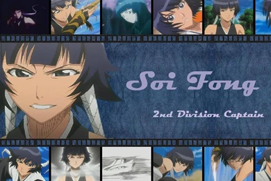 Soifon   Soifon Wallpapers (25526397)   Fanpop