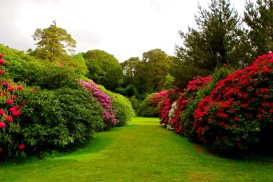 219 Garden HD Wallpapers