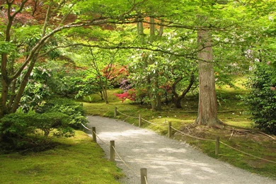 Japanese Garden Wallpapers