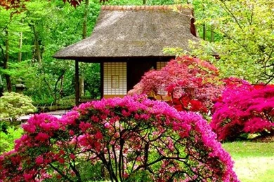 Garden Live Wallpapers   Android Apps And Tests   AndroidPIT