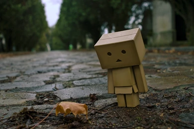 Meaningful Wallpapers 1680x1050 (