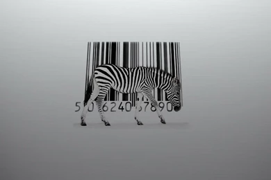 Nike Shoes Wallpapers