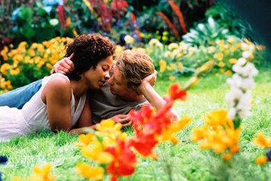 New Wallpapers Free Download ~ Toptenpack.com