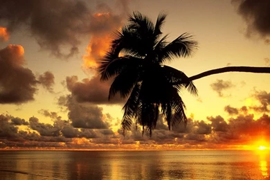Tropical Island Sunset Wallpapers   Wallpapers Cave