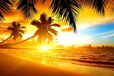 TROPICAL SUNSET WALLPAPER (
