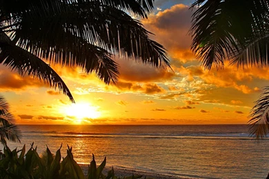 Tropical Sunset Computer Wallpapers, Desktop Backgrounds ...