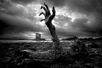 Wallpapers Hd 1080P Black And White Zombie